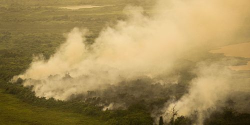 Imagem referente a Com incêndios, Mato Grosso do Sul decreta situação de emergência
