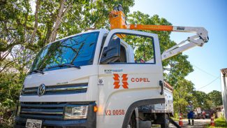 Copel promove mutirão de manutenção preventiva nas redes elétricas em Curitiba