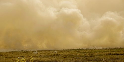 Imagem referente a Queimada no Pantanal persiste mesmo após proibição de manejo do fogo
