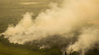 FAB faz três voos hoje sobre o Pantanal para combate às queimadas