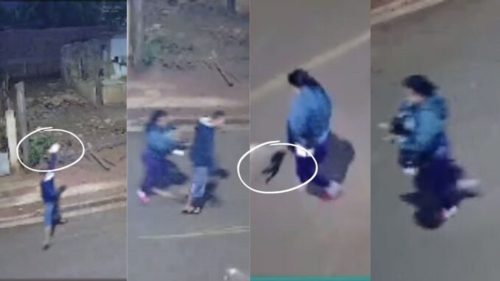 Imagem referente a Brutalidade! homem é suspeito de matar cachorrinha a pedrada em Rua de Campo Grande
