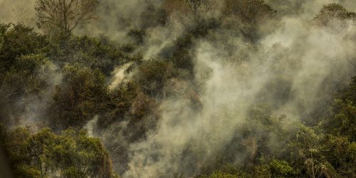 Imagem referente a Incêndios podem ter degradado 9% do Pantanal nos últimos cinco anos