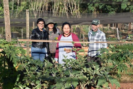 Imagem referente a Horta comunitária sob linhas de alta tensão da Copel em Maringá recebe comitiva peruana