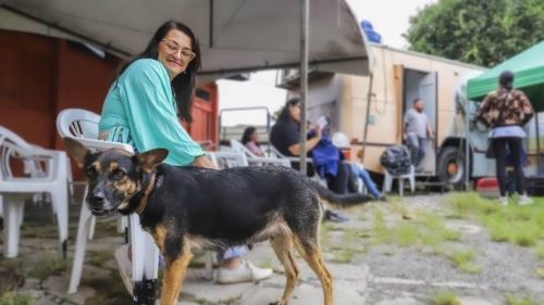 Imagem referente a Saiba quais serão as datas dos mutirões de castração de cães e gatos em Curitiba até o mês de novembro