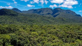 Paraná avança para ser 1º governo subnacional a adotar créditos de biodiversidade