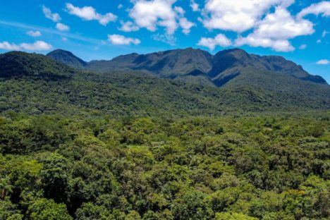 Imagem referente a Paraná avança para ser 1º governo subnacional a adotar créditos de biodiversidade