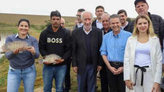 Piana recebe ministro da Pesca e apresenta produtores de tilápia do Norte do Paraná