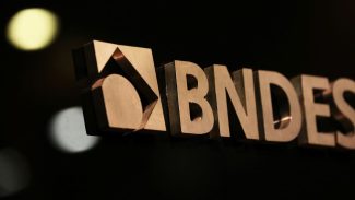 BNDES vai disponibilizar R$ 66,5 bilhões para Plano Safra 2024/2025
