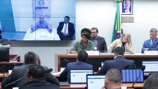 Ex-chefe de Polícia Civil do RJ diz que nunca falou com irmãos Brazão