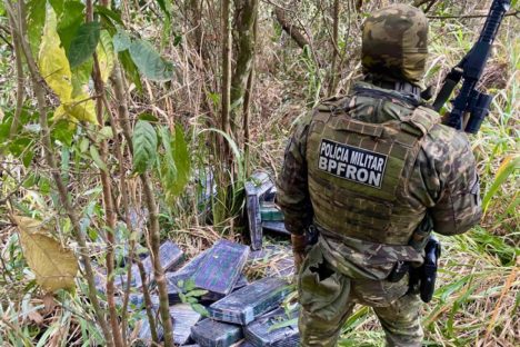 Imagem referente a Combate ao tráfico: apreensões de maconha e cocaína crescem no Paraná no 1º semestre