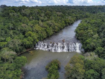 Imagem referente a Mata ciliar aumenta 12% no Paraná com proteção de nascentes e plantio de mudas