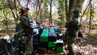 Batalhão de Polícia Ambiental apreende 933 quilos de maconha em Icaraíma