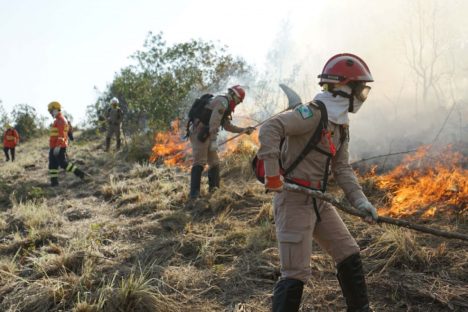 Imagem referente a Bombeiros prestaram mais de 63 mil atendimentos no 1º semestre; incêndios cresceram