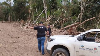 Com fiscalização do IAT, crimes ambientais tiveram redução de 30% na região de Maringá