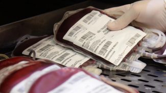 Com baixo estoque para sangues tipo O+ e O-, Paraná solicita doação de sangue
