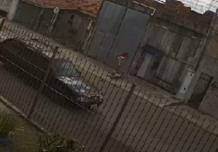 Imagem referente a Polícia Civil divulga vídeo que mostra homem sendo pisoteado até a morte