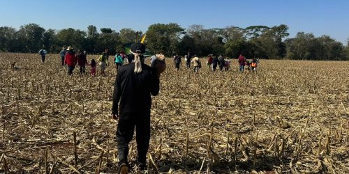 Imagem referente a Justiça impede Funai de distribuir lona a indígenas de ocupação no PR