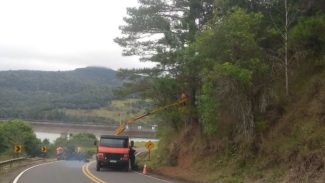 DER/PR realiza melhorias e limpeza no entorno de rodovia em Pinhão