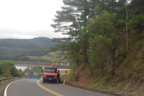 DER/PR realiza melhorias e limpeza no entorno de rodovia em Pinhão