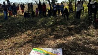 Funai recorre de decisão que impede assistência a indígenas no Paraná