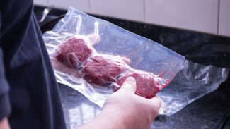 Proteína alternativa: apoiada pelo Estado, startup paranaense transforma fungos em “carne”