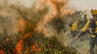 Fogo já consumiu 1,3 milhão de hectares e volta a aumentar no Pantanal