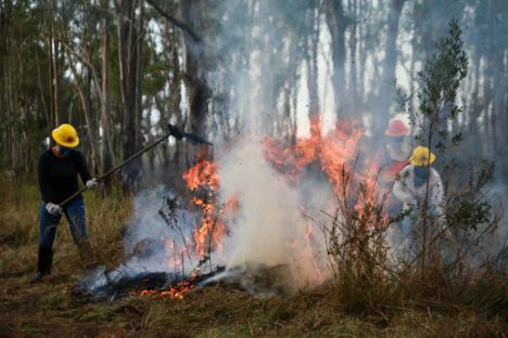 Imagem referente a IAT emite alerta para risco elevado de incêndio em Unidades de Conservação