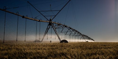 Imagem referente a Projeto que permite irrigação em área de proteção recebe críticas