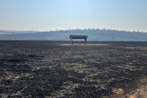 Imagem referente a Helicóptero do IAT vai reforçar combate a incêndio florestal em Maria Helena