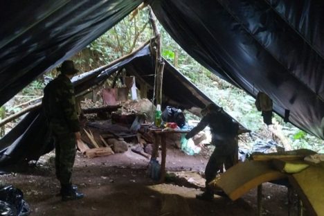 Imagem referente a IAT e Força Verde desmobilizam acampamento de caçadores dentro do Pico do Marumbi