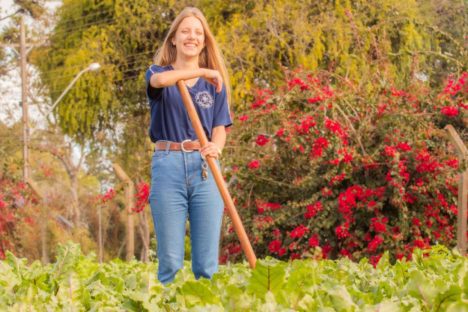 Imagem referente a Colégio Agrícola da UEPG abre processo seletivo para ingresso em 2025