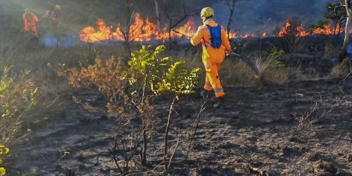 Imagem referente a Incêndios atingem milhares de hectares em parques de Minas Gerais