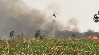 Com suporte de helibalde, IAT combate focos de incêndios florestais no Noroeste do Paraná