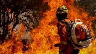 Bombeiros do DF apagam incêndio em área de nascente do Lago Paranoá