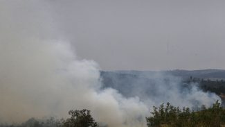 Dois são presos por suspeita de incêndios criminosos em São Paulo