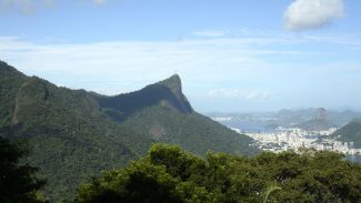 Número de incêndios florestais no Rio já aumentou 85% neste ano