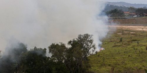 Imagem referente a Fundo auxiliará produtores rurais atingidos por incêndios em SP