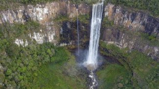 Unidades de Conservação do Paraná receberam 38 mil visitantes em julho