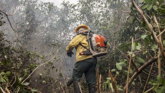 Dino manda governo ampliar combate ao fogo na Amazônia e no Pantanal