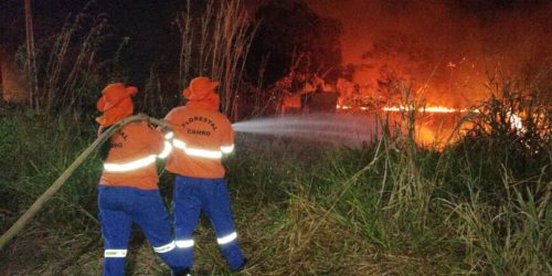 Imagem referente a Situação de emergência por incêndio florestal cresceu 354% em agosto