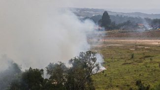 SP: chega a 7 o número de presos por suspeita de incêndios criminosos