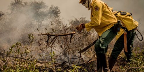 Imagem referente a Incêndios no Pantanal já consumiram este ano mais de 15% do bioma