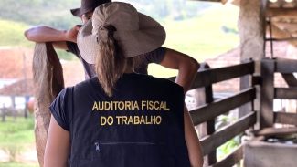 Operação federal resgata 593 pessoas submetidas a trabalho escravo