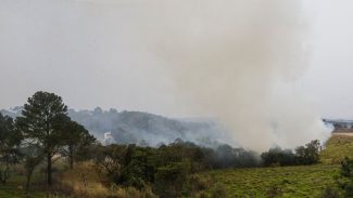 Sobe para dez número de presos por queimadas em São Paulo