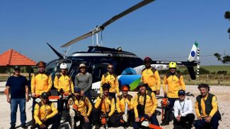 Com apoio de voluntários e helicóptero, IAT retira 58 hectares de pinus do Guartelá