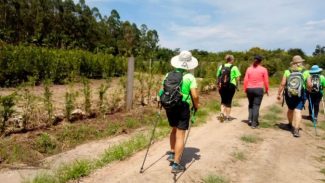 Caminhadas da Natureza de setembro terão cultura, gastronomia e belas paisagens