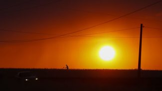 Alerta de tempo seco no Paraná: governador decreta emergência de estiagem