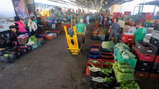 Ceasas do Paraná não abrem neste sábado, feriado de 7 de Setembro