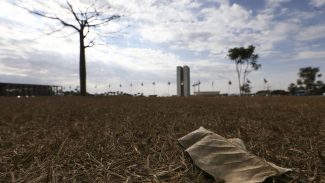 Oito estados e DF têm alerta de grande perigo para baixa umidade