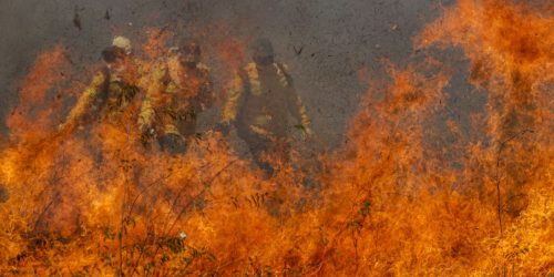 Imagem referente a Parque da Cantareira é fechado por causa de incêndio; total chega a 81